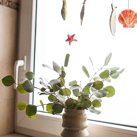 Apartament Duża Ryba By Keba Pracownia Ceramiki *