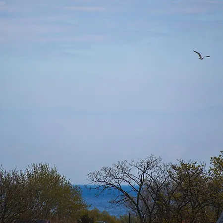 Duża Ryba By Keba Pracownia Ceramiki Władysławowo