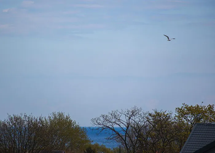 Duża Ryba By Keba Pracownia Ceramiki Władysławowo